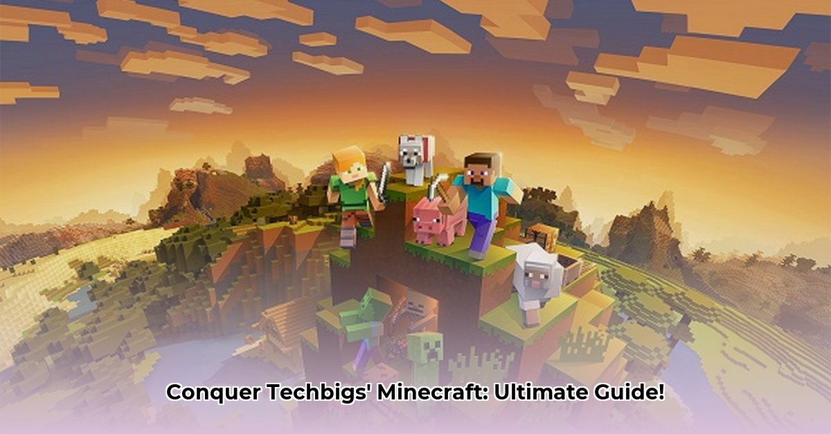 techbigs-minecraft